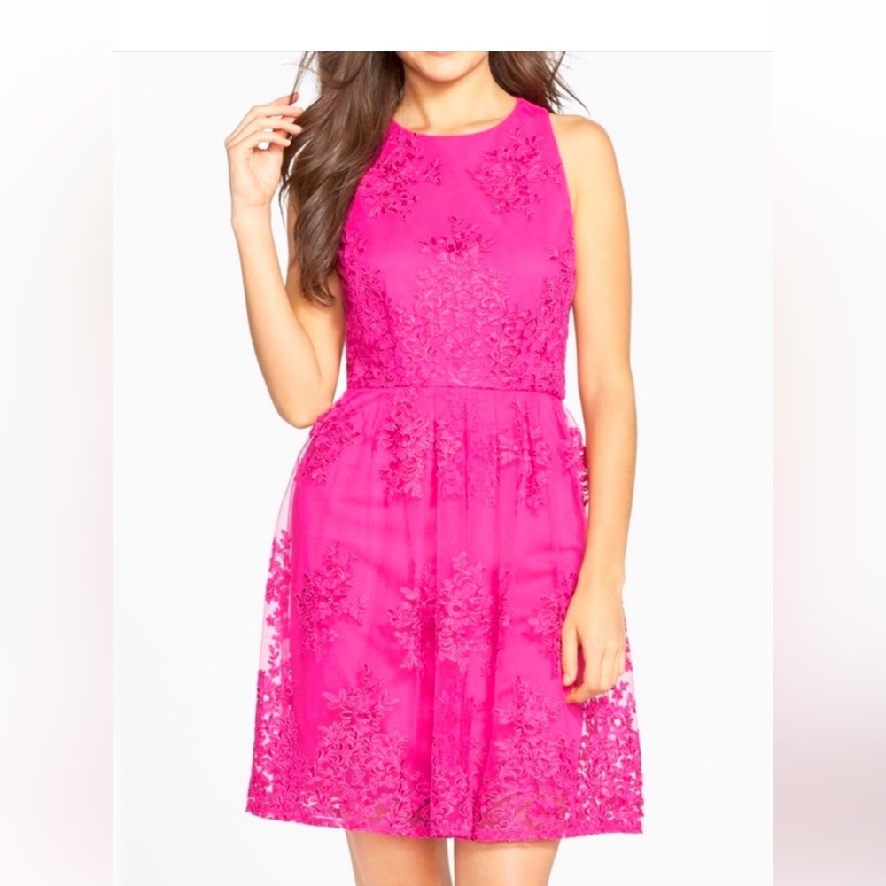 Gorgeous Lace Overlay Dress